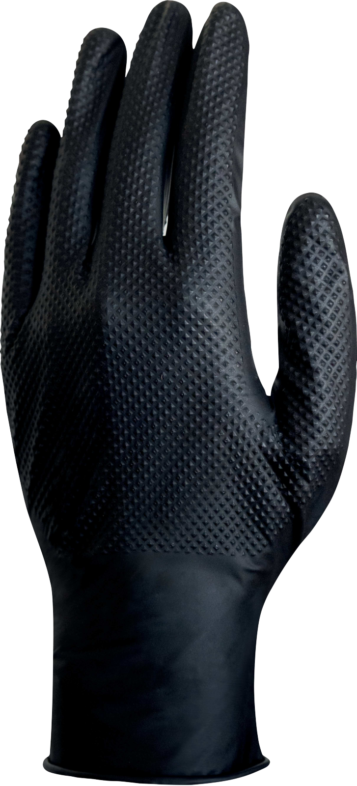 V1600